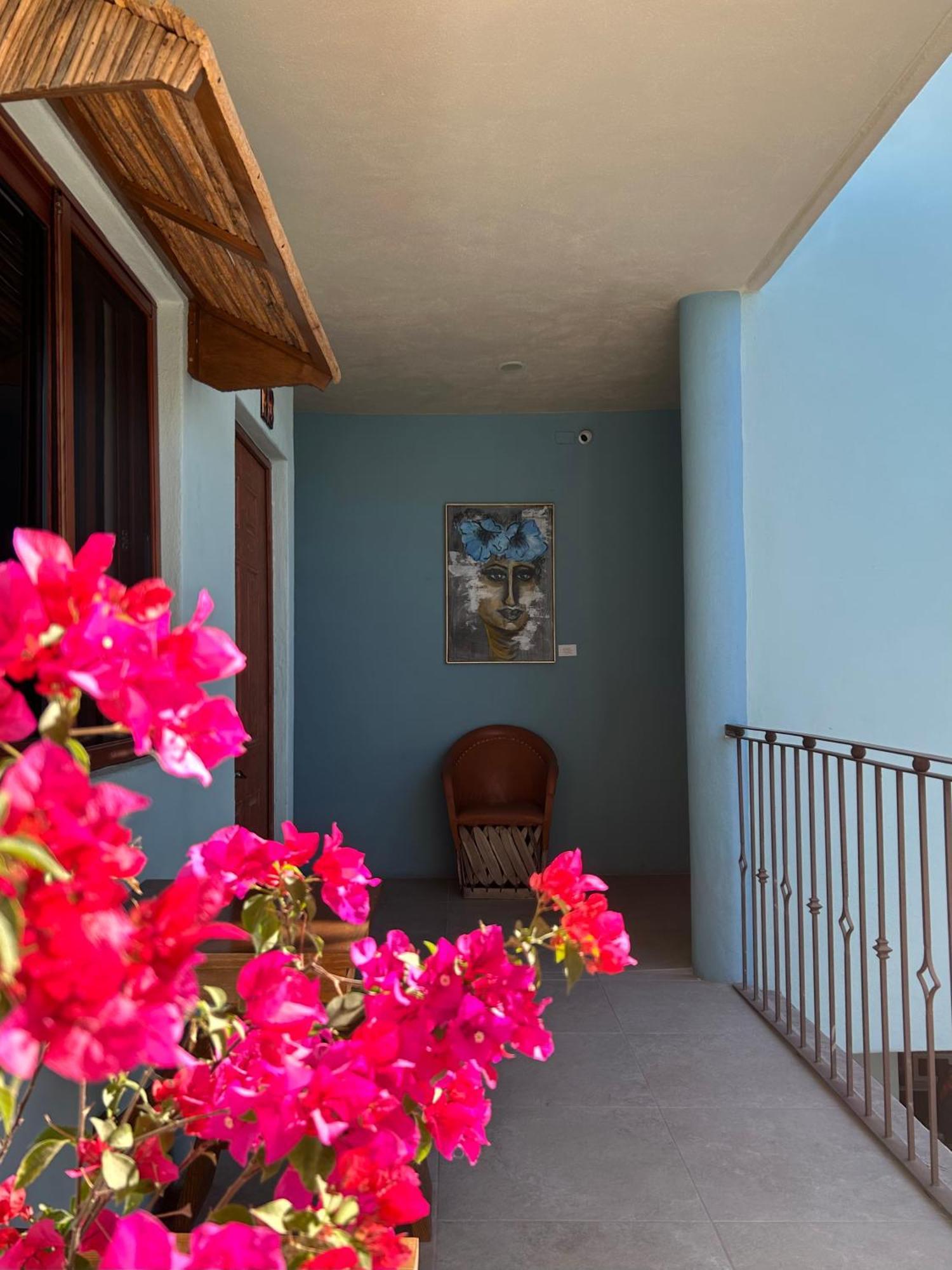 Rosarito Hotel 洛雷托 外观 照片